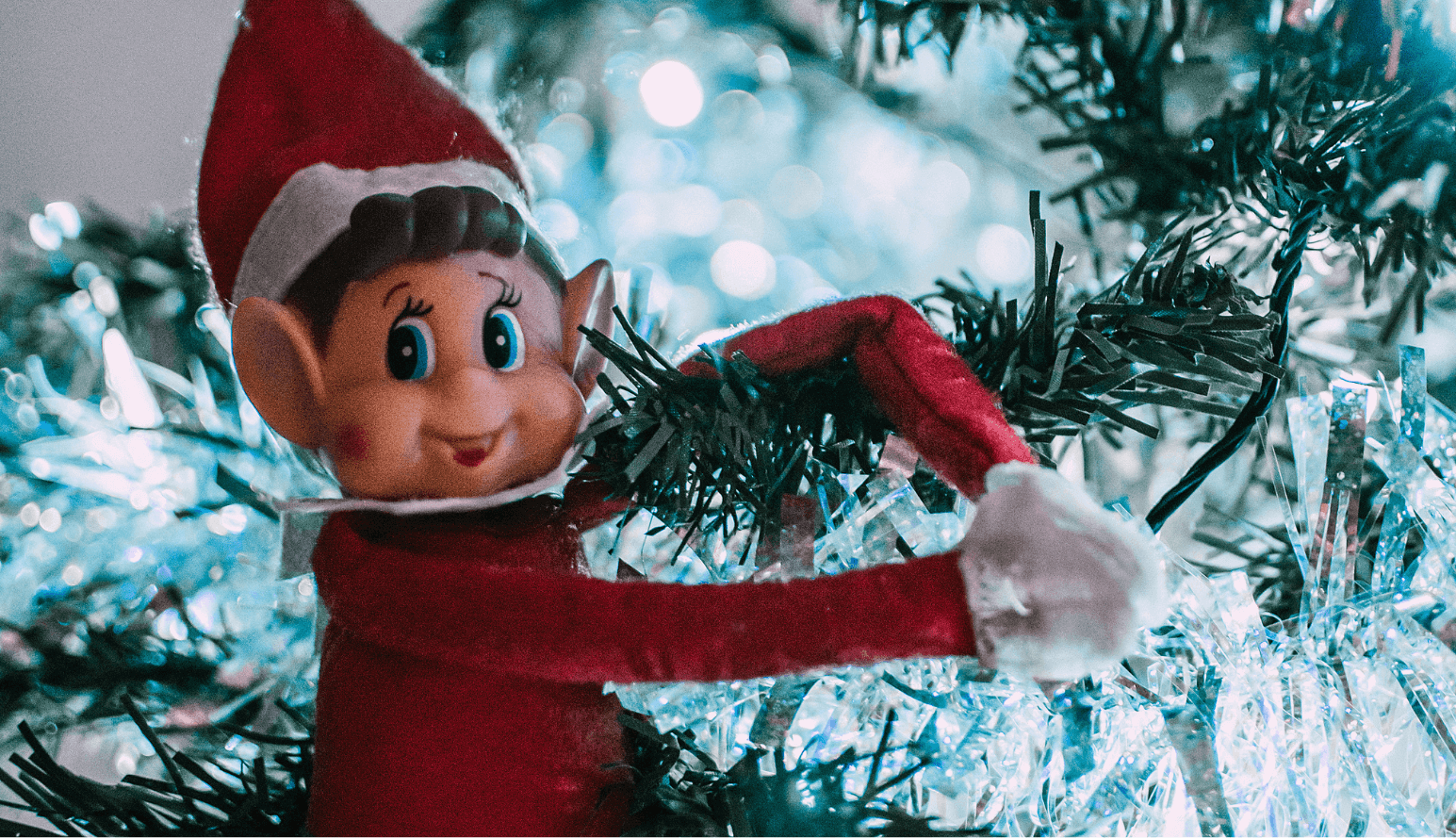 Elf ornament in a Christmas tree
